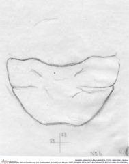 Historische Skizze/Zeichnung von Eodromites grandis (von Meyer, 1857) (NHMW-AFW-GEO-BACHMAYER-FOTO-1990-0041-0006a)